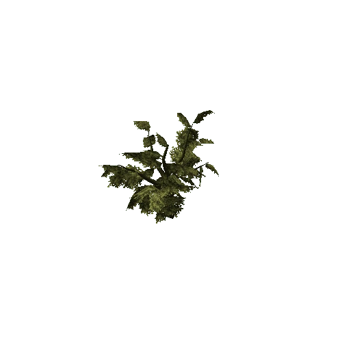 Oak_Tree_V1_1