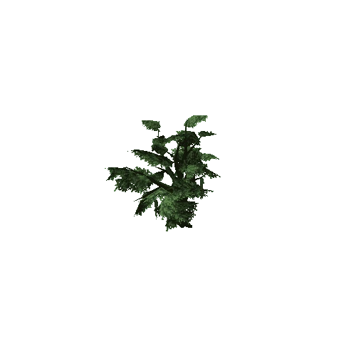 Oak_Tree_V3