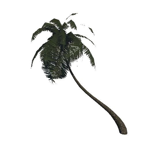 PalmTreeSingleBendedOneSided