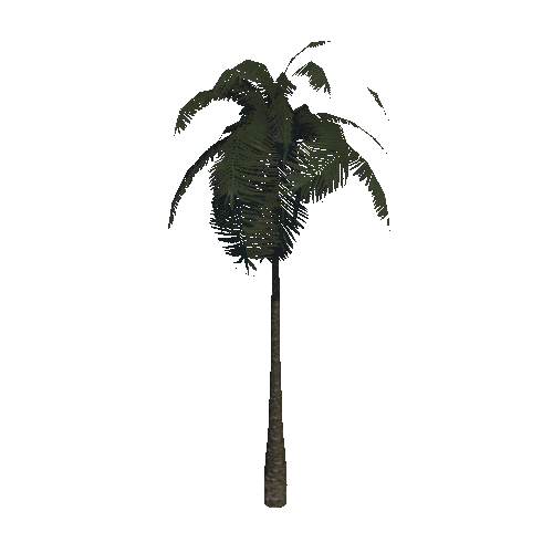 PalmTreeSingleStraightOneSided