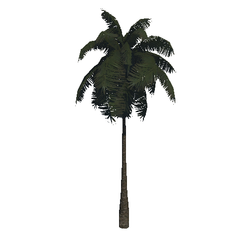 PalmTreeSingleStraightTwoSided