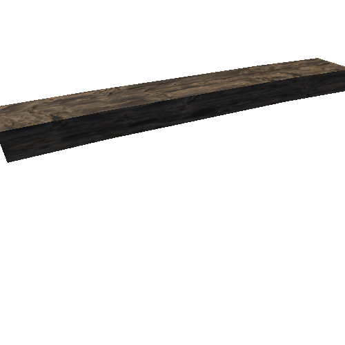 Plank_04