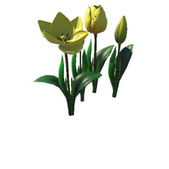 Flower_tulip_yellow