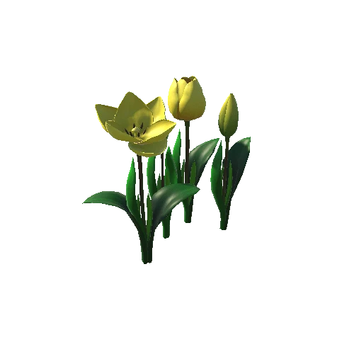 Flower_tulip_yellow