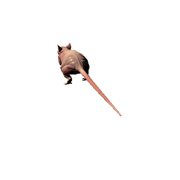 Mutant_Rat_skin_3