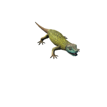 Green_lizard_v2