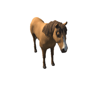 Horse_v5