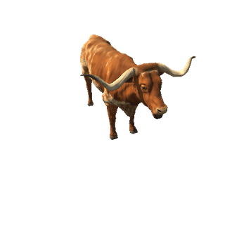 Longhorn_cattle_v1