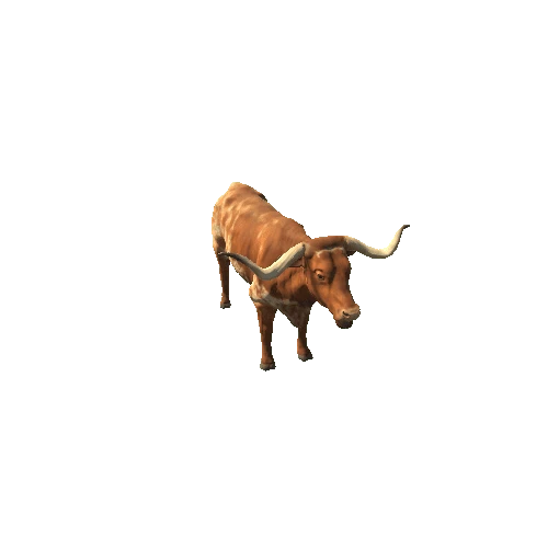 Longhorn_cattle_v1