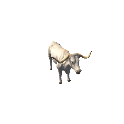 Longhorn_cattle_v2