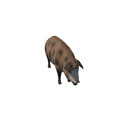 Mud_pig_v1