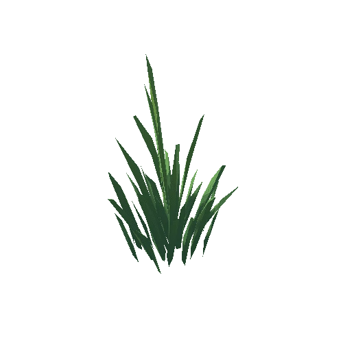 ZLPP_Grass_A_04