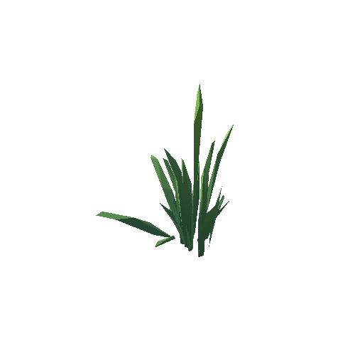 ZLPP_Grass_A_06