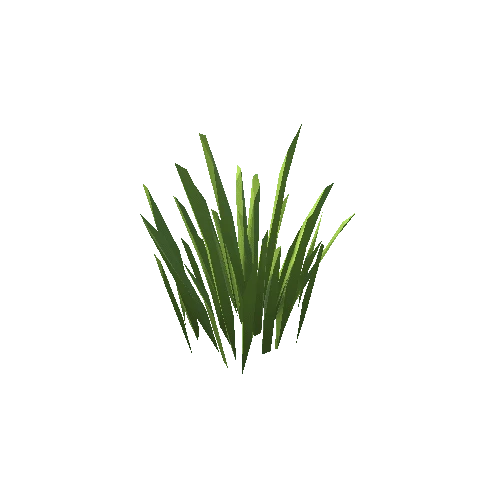 ZLPP_Grass_A_10