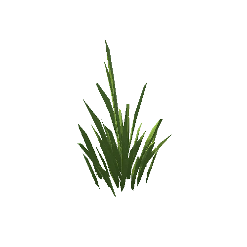 ZLPP_Grass_A_12