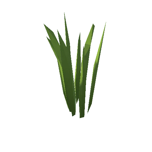 ZLPP_Grass_A_15