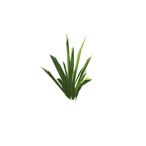 ZLPP_Grass_A_16