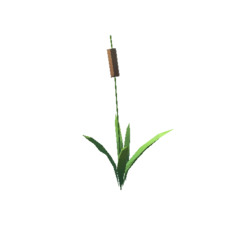 ZLPP_Grass_B_3