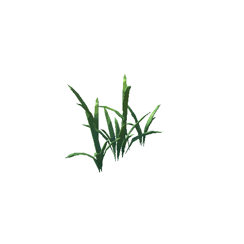 ZLPP_Grass_B_4