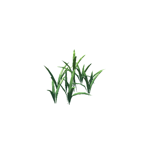 ZLPP_Grass_B_5