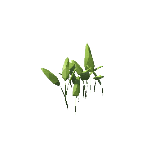 ZLPP_Grass_C_1