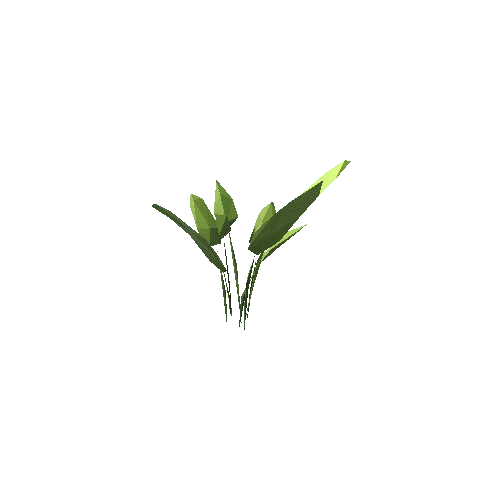 ZLPP_Grass_C_3