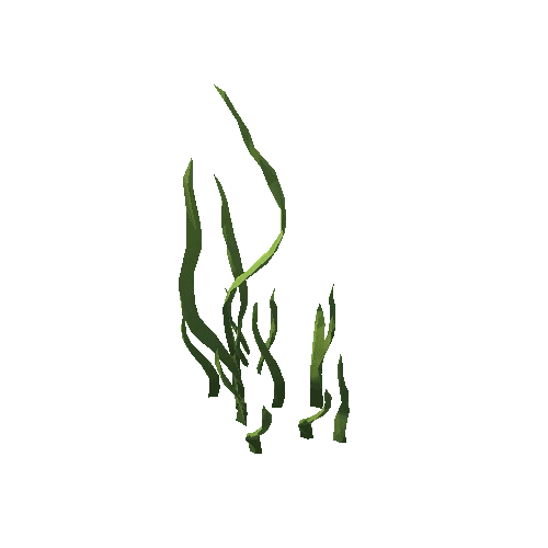 ZLPP_Grass_J_1