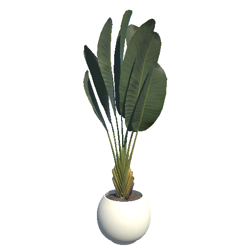 plant_1