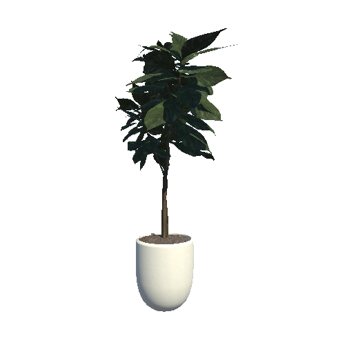 plant_5