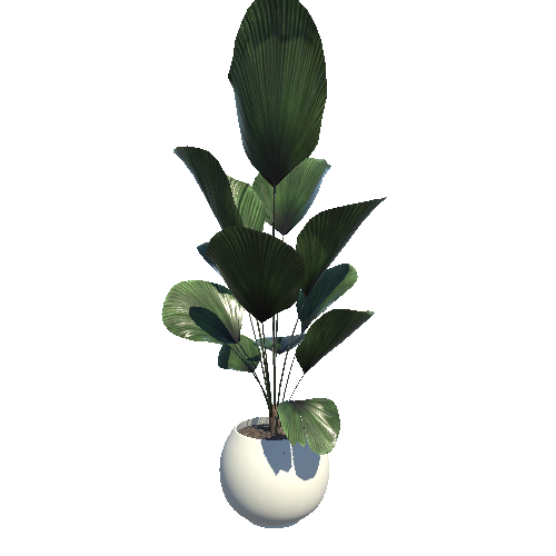 plant_7