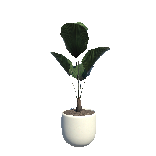 plant_8