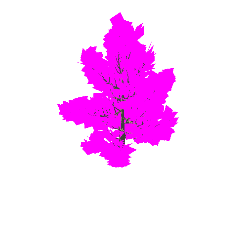 Tree_1