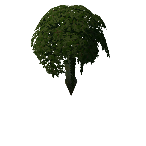 Tree_4a_0