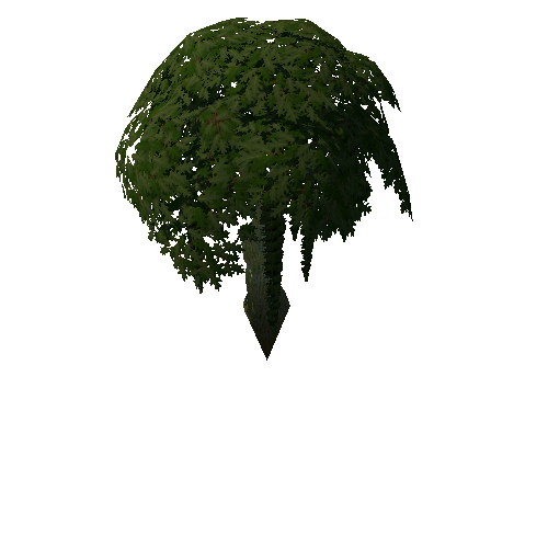 Tree_4a_0_1
