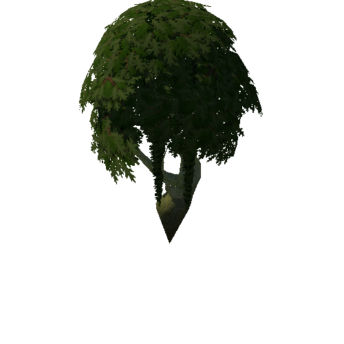 Tree_4a_3