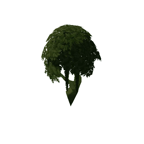 Tree_4a_3