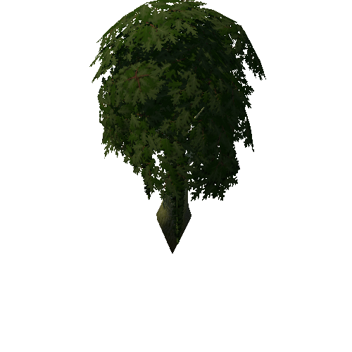 Tree_4a_5