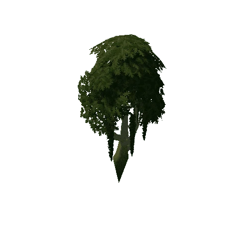 Tree_4a_7