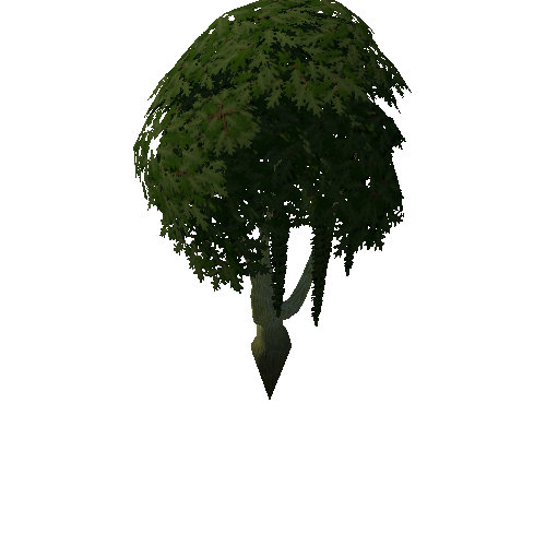 Tree_4a_8