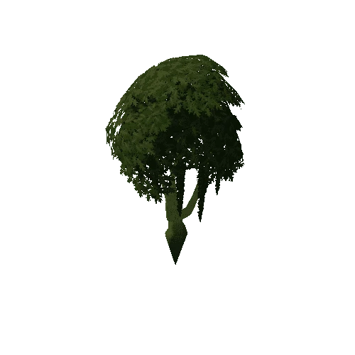 Tree_4a_8