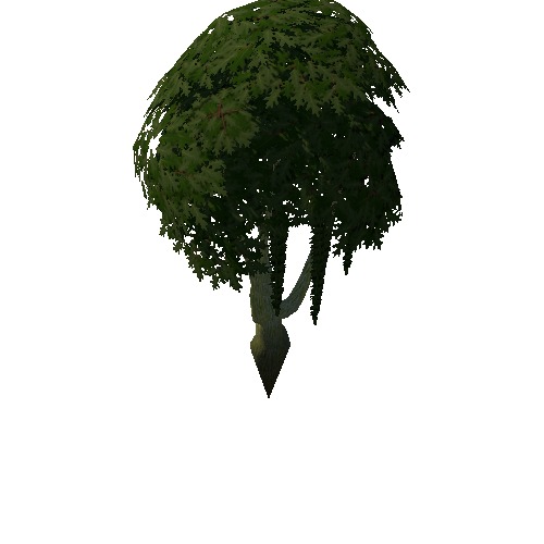 Tree_4a_8_1