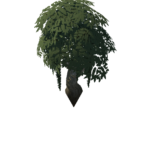 Tree_4b_2