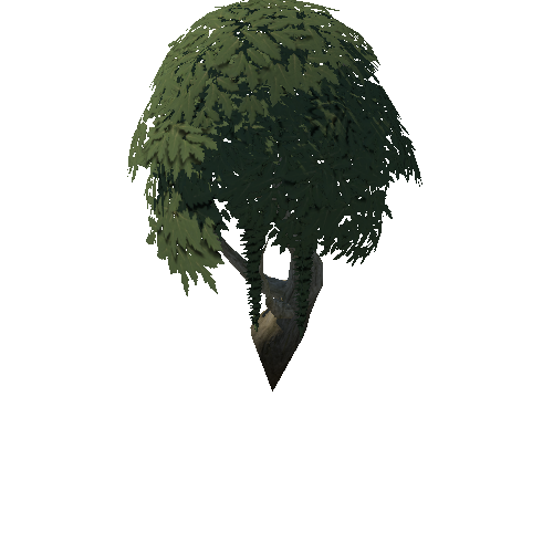 Tree_4b_3