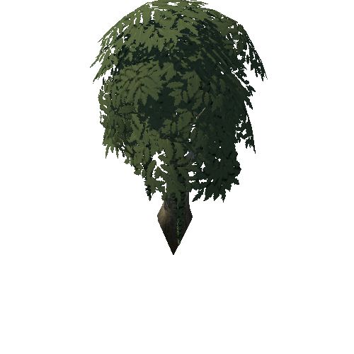 Tree_4b_5