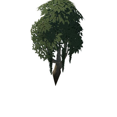 Tree_4b_7