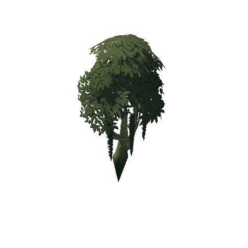 Tree_4b_7