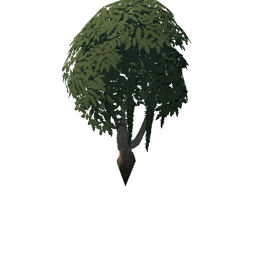 Tree_4b_8