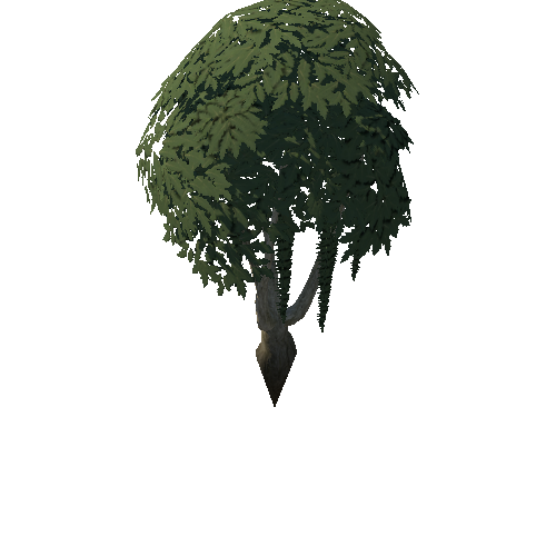 Tree_4b_8_1