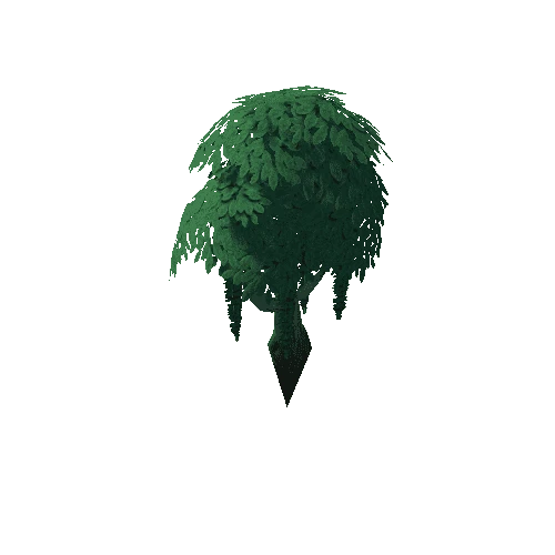 Tree_4d_1