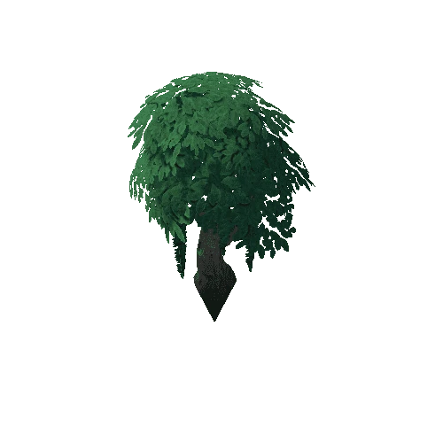 Tree_4d_2